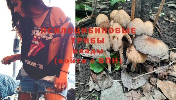 PSILOCYBIN Лихославль